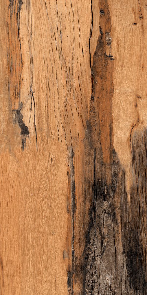 Dark Wood Natural Serisi 60x120 Rektifiyeli Ahşap Görünümlü Porselen Seramik - 2