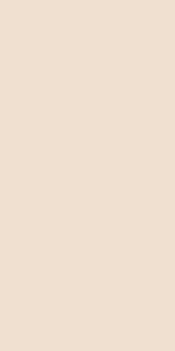 Velvet Beige Soft Colours 60x120 Mat Rektifiyeli Porselen Seramik - 1