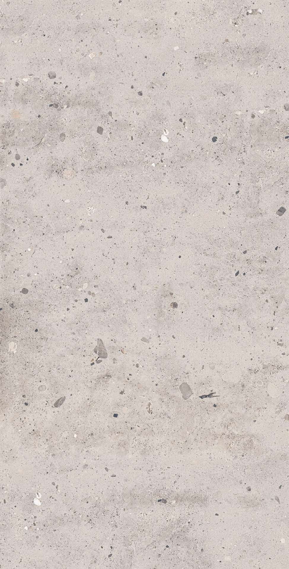 Stonera Silver 60x120 cm Mat Rektifiyeli Beton Görünümlü Porselen Seramik